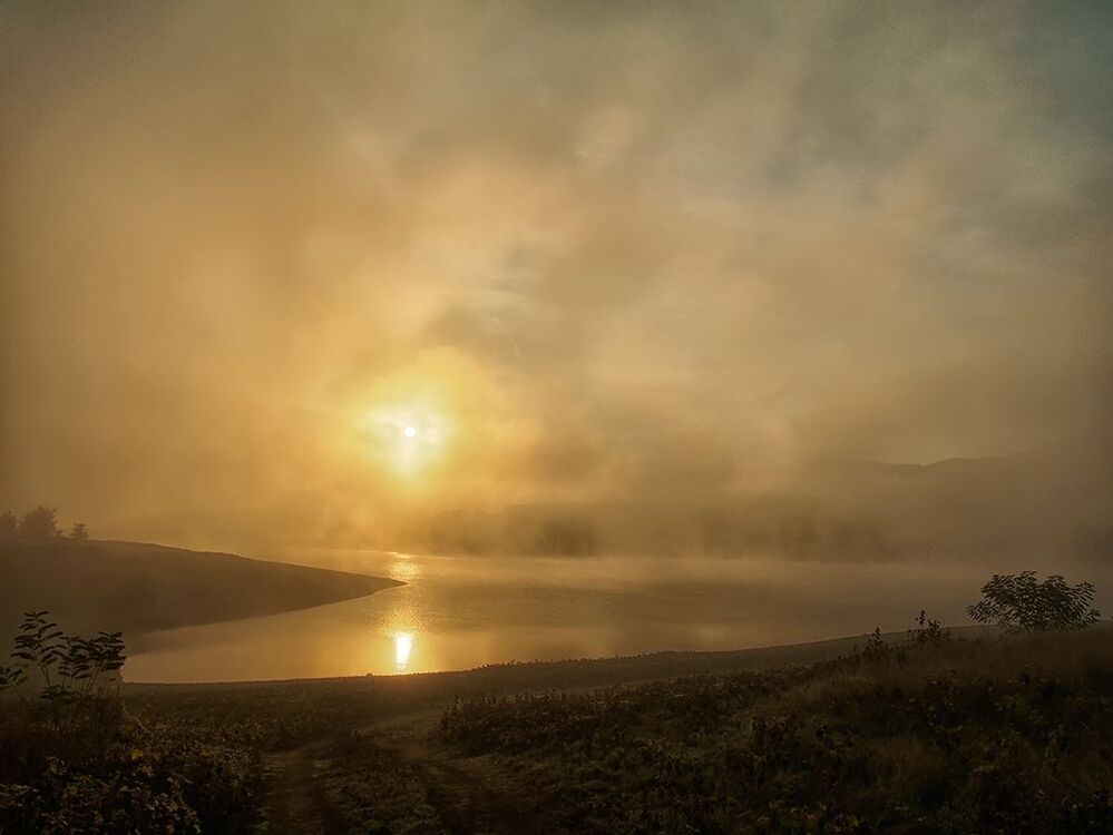 foggy morning