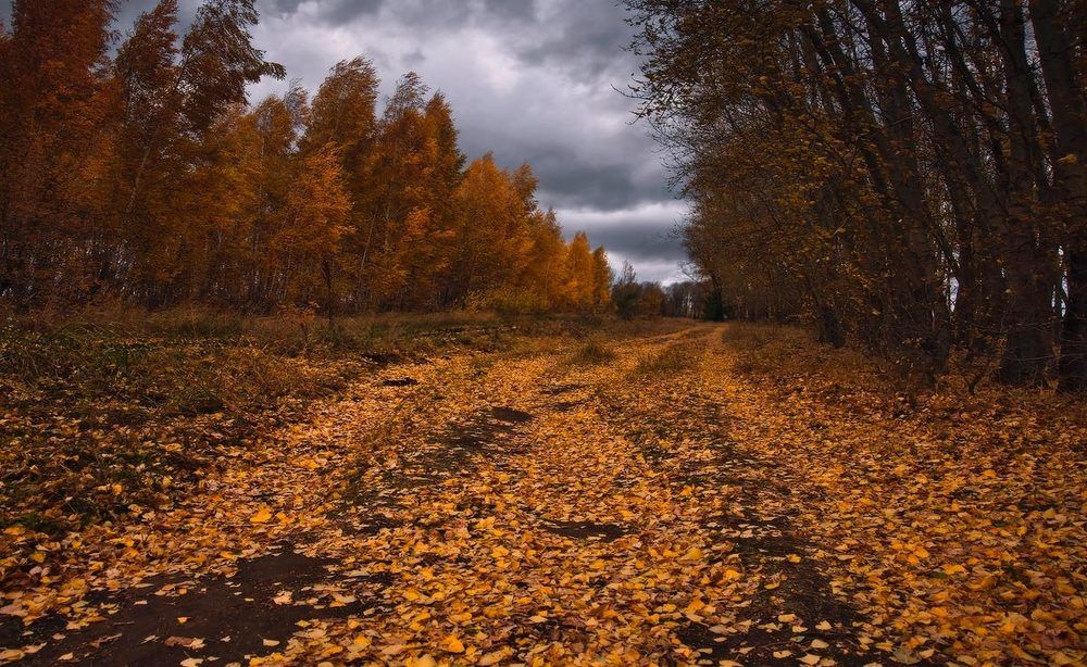 Уж небо осенью дышало...