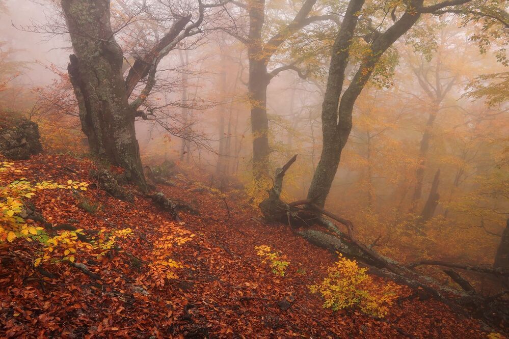 Фототур &laquo;Золото Демерджи&raquo; 14-18/10/2015г. http://phototours.com.ua/tours/zoloto-demerdzhi
