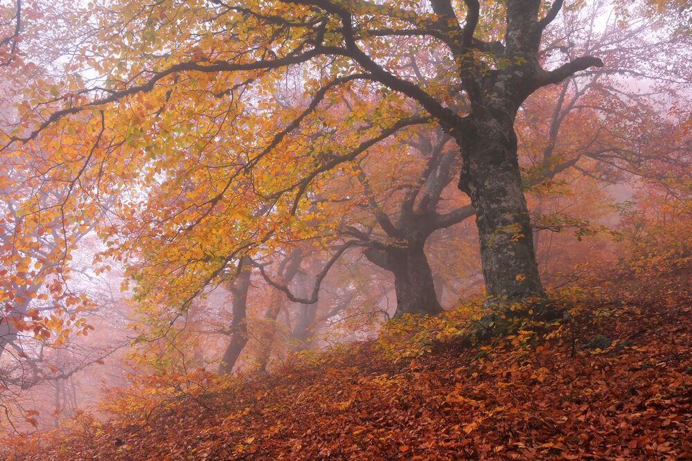 Фототур &laquo;Золото Демерджи&raquo; 14-18/10/2015г. http://phototours.com.ua/tours/zoloto-demerdzhi