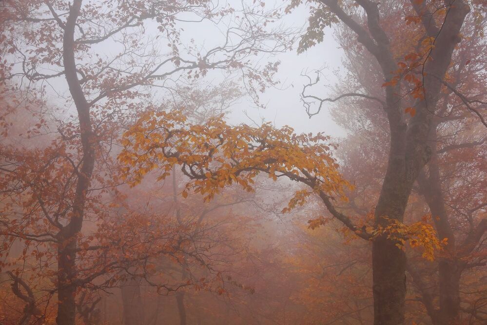 Фототур &laquo;Золото Демерджи&raquo; 14-18/10/2015г. http://phototours.com.ua/tours/zoloto-demerdzhi