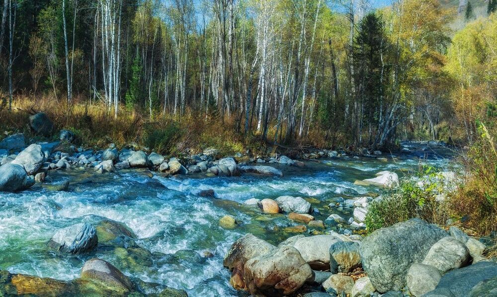Зелено-синяя осень