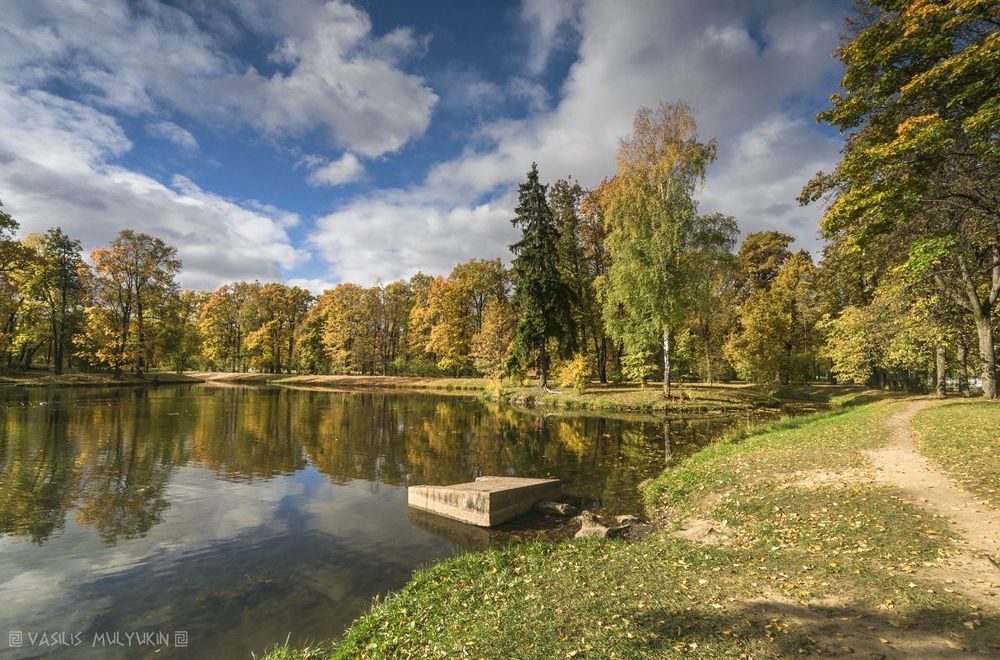 В Александровском парке ...