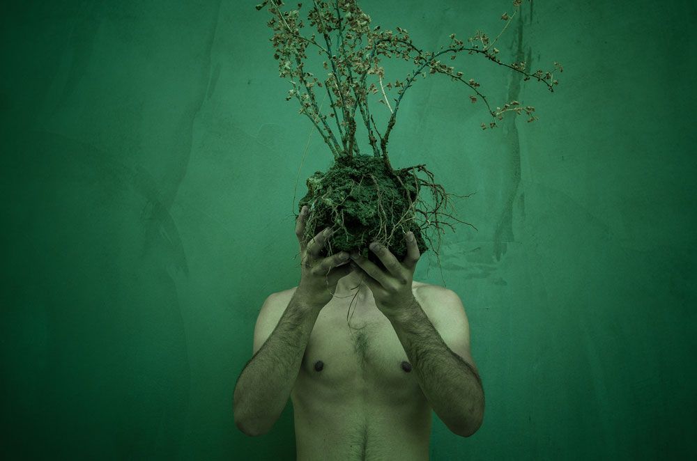 Human and Nature