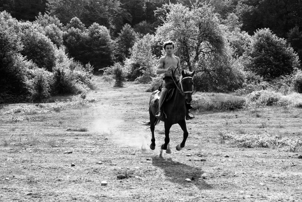 Photo 766545