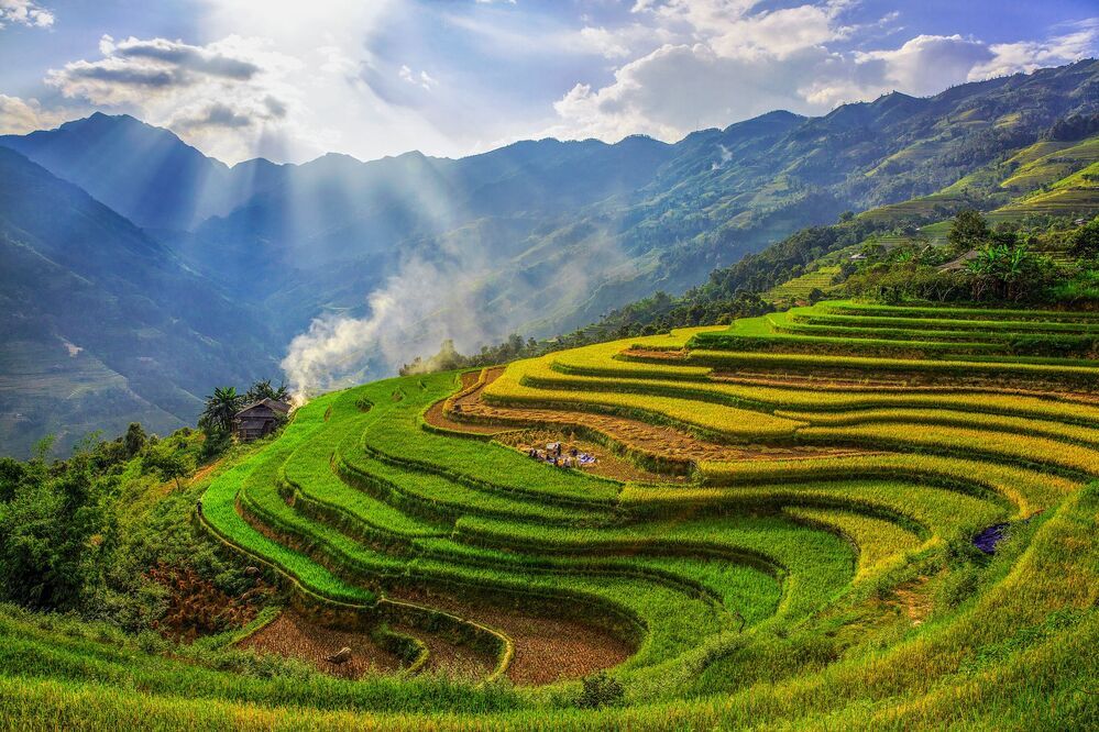 Mùa lúa chín Hà Giang 10.2015