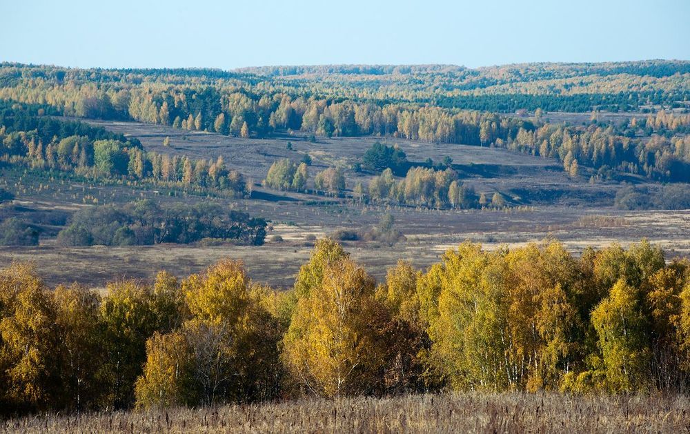 10 В окрестностях Оки