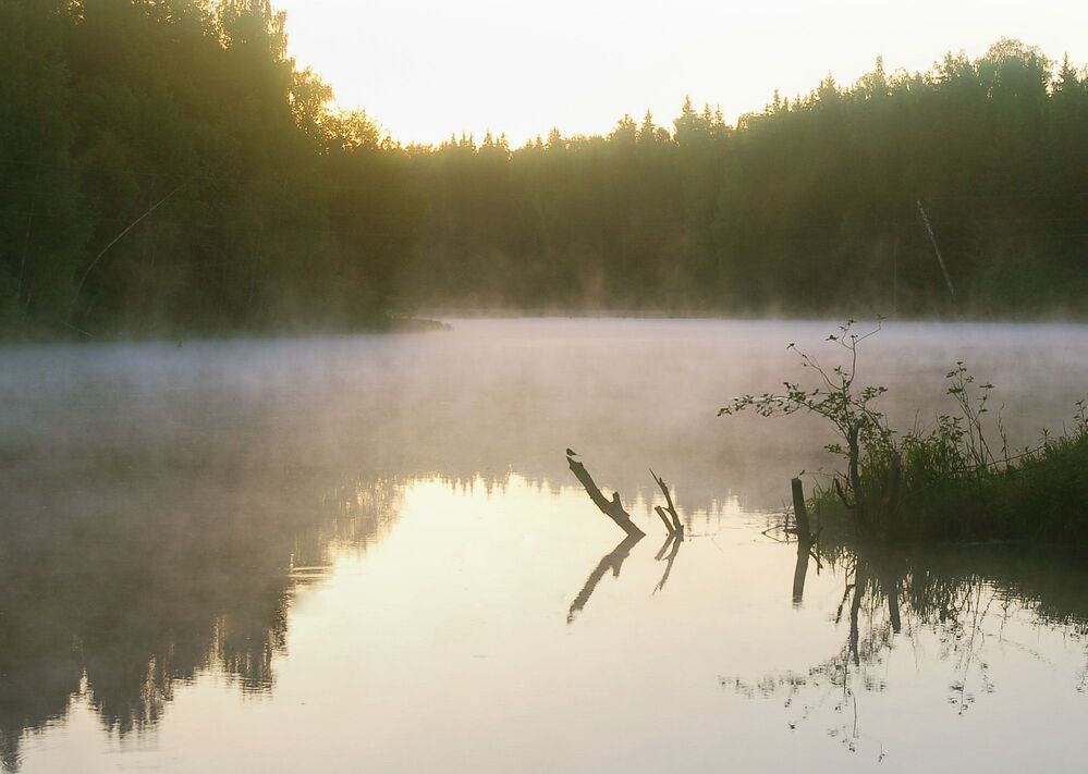Жаркое летнее утро
