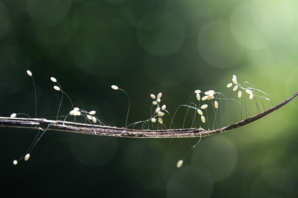 Photo 768882