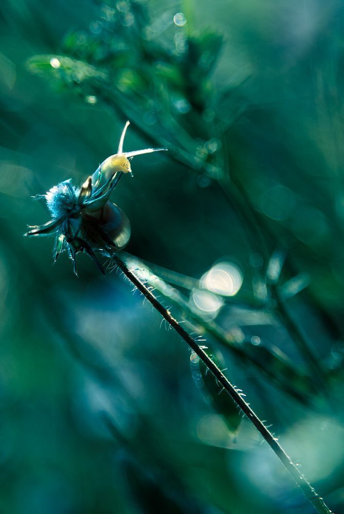 Memories of Blue