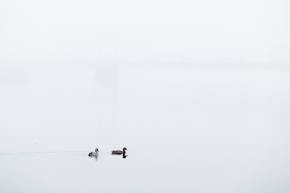 Photo 772268