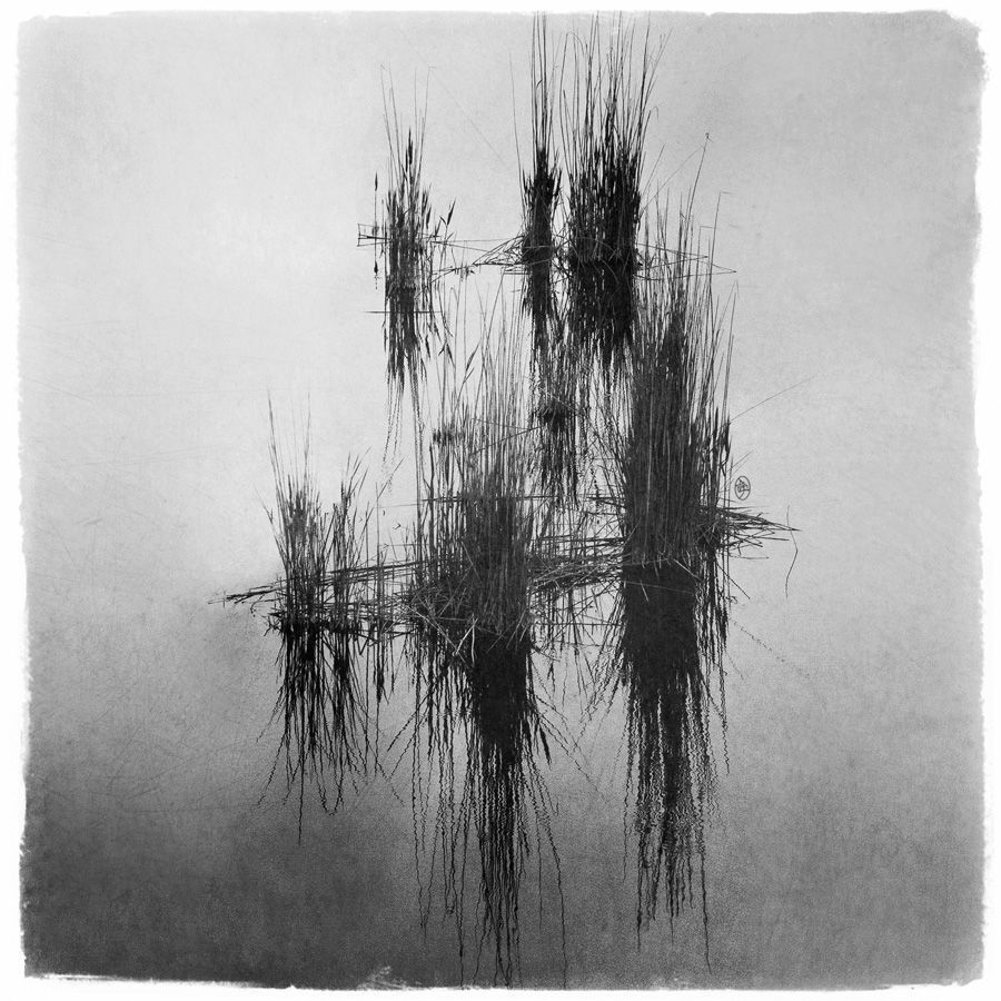 Horror vacui