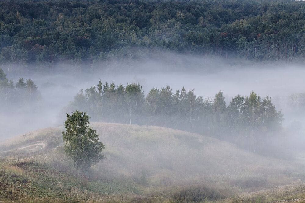 Утро в Орехово