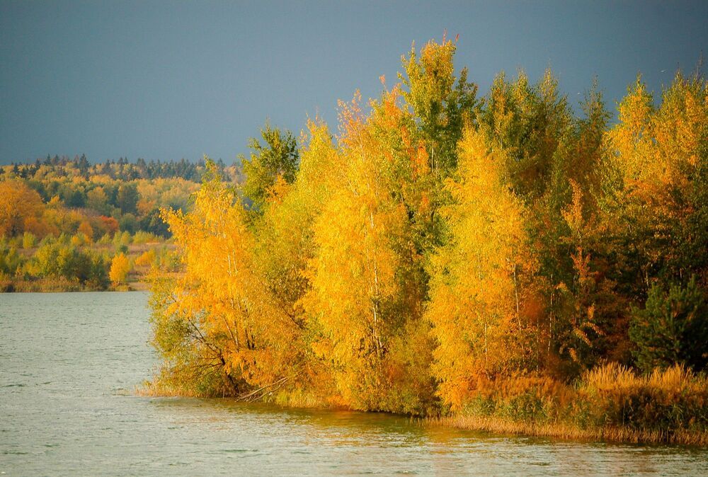 Немного о прошлой осени
