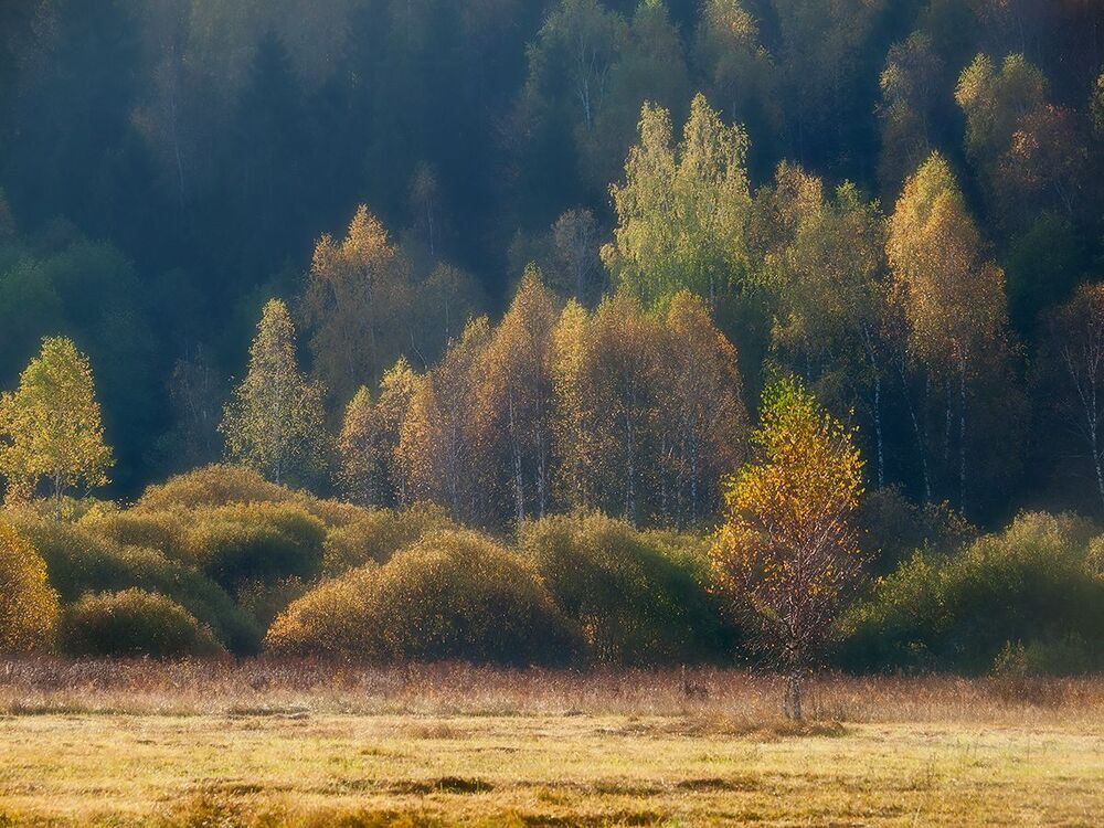 Осеннее настроение