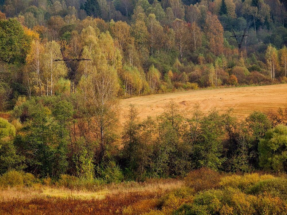 Осеннее настроение