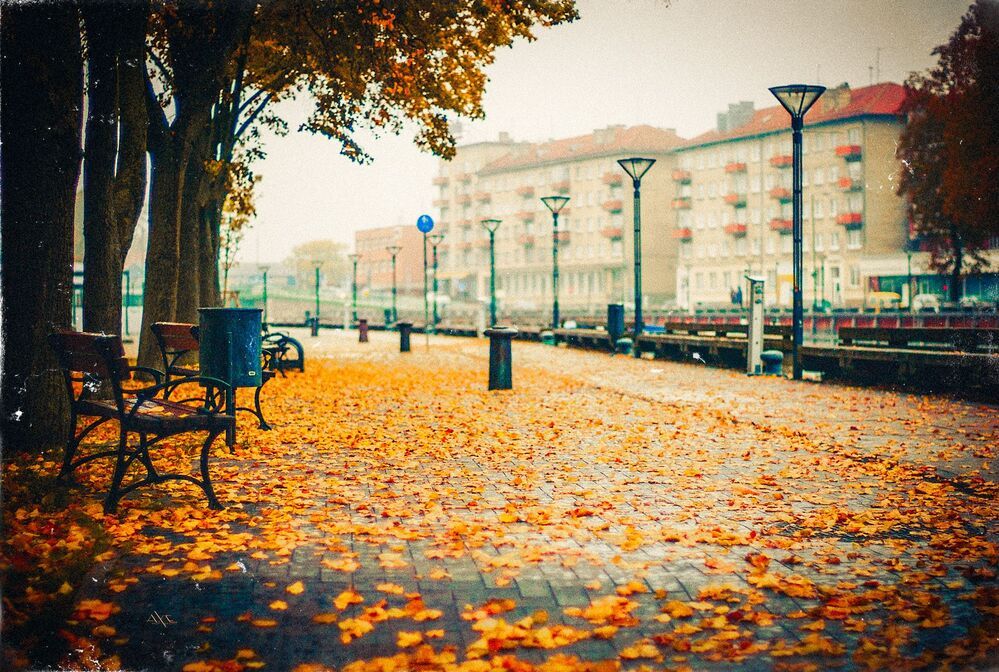Autumn in the City