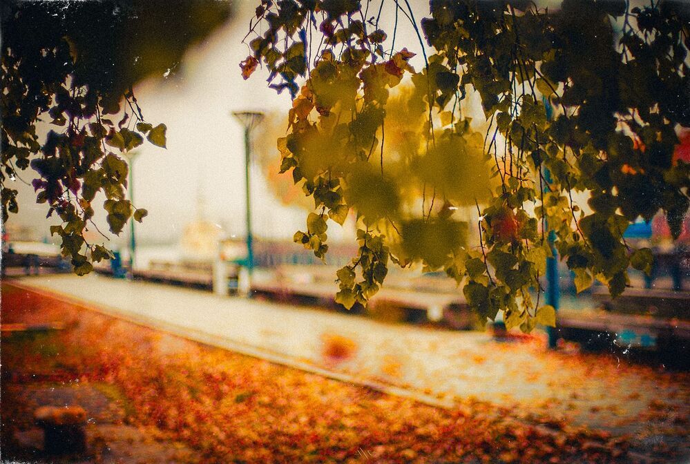 Autumn in the City