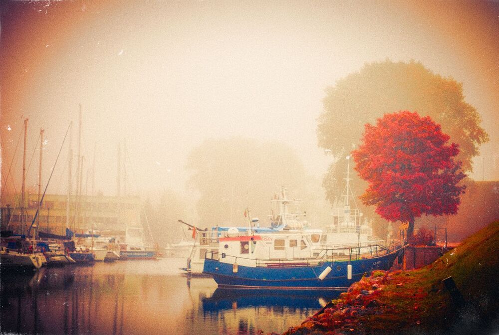 Autumn in the City