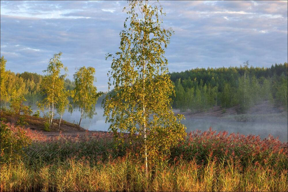 У озера. В первых лучах.