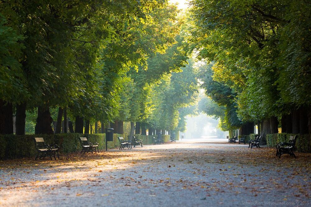 Schonbrunn park @ Vienna