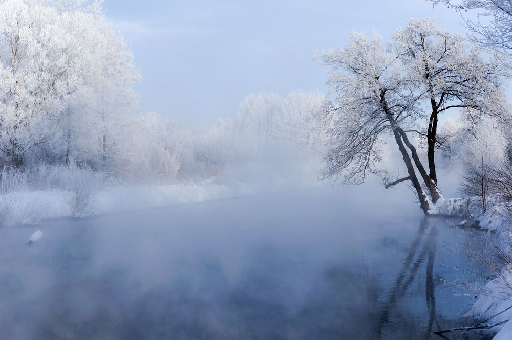 Photo 777310