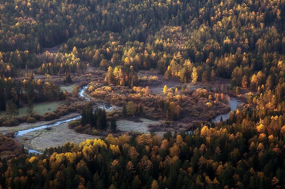 Солнечные островки Базаихи.