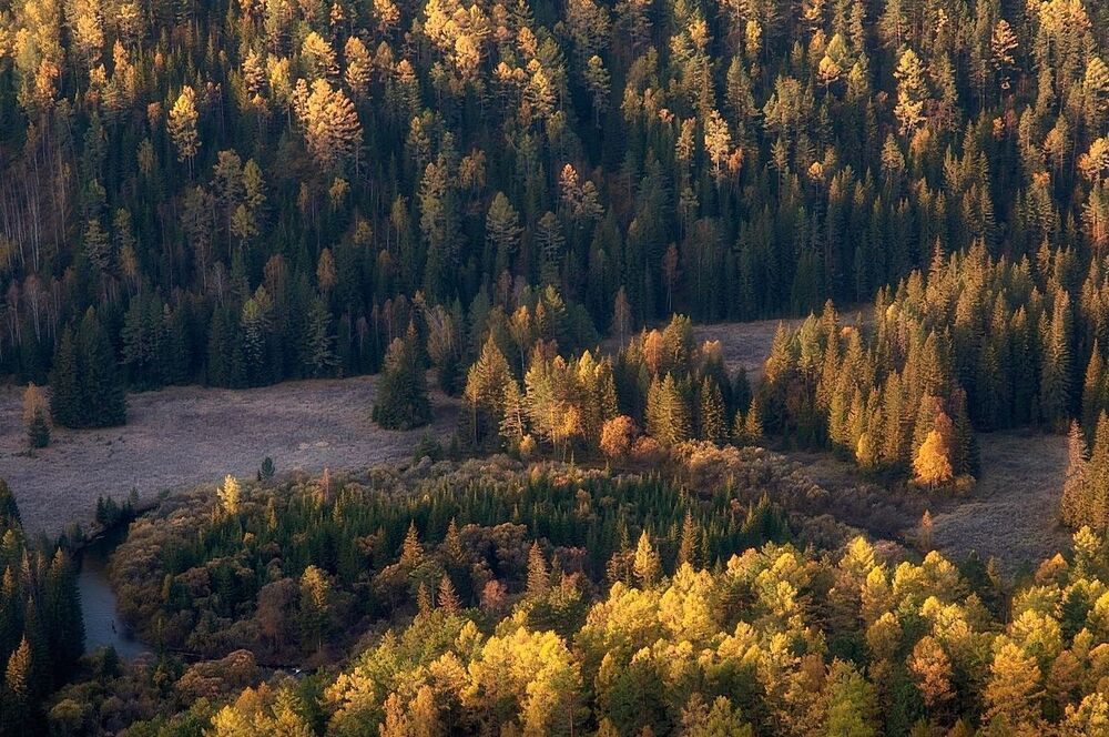 Солнечные островки Базаихи.
