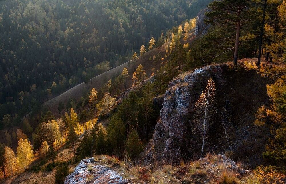 Солнечные островки Базаихи.