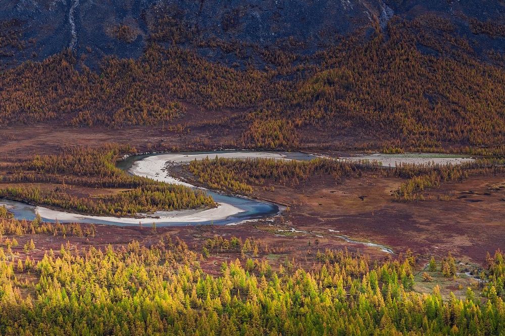 Петля Келилибита, размеренно несущего свои воды в Индигирку через Чибагалах. Где тень, там и холод, и лиственницы последними желтеют под уходящим лучом света.