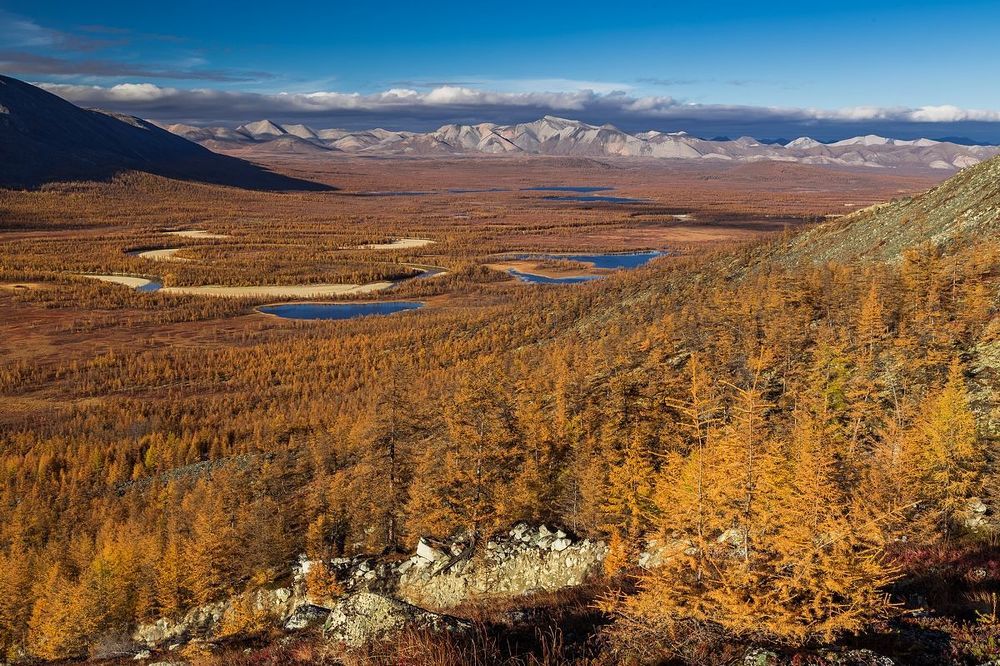 Речная долина, усеянная старичными озерами, медленно погружается в вечерний сон, и тепло уходит вместе с вечерними солнечными лучами.