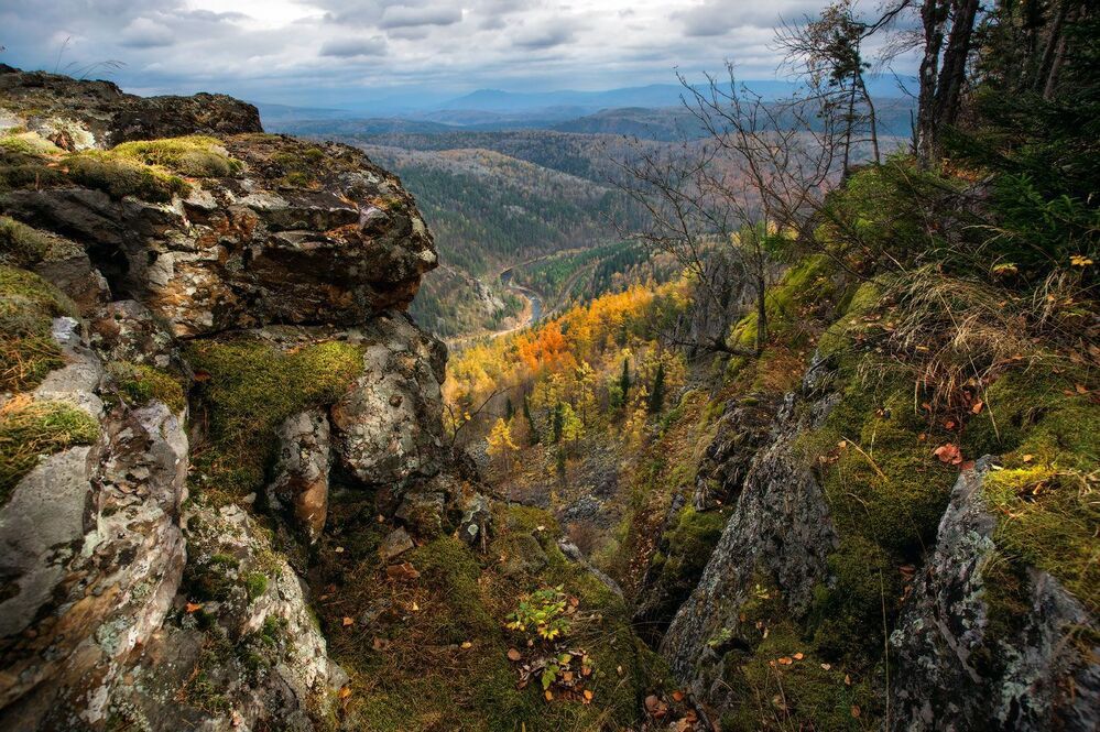 Айгир