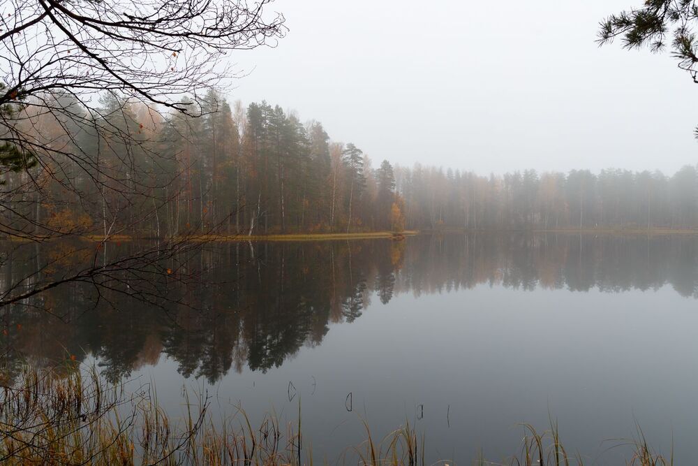 Цвета осени