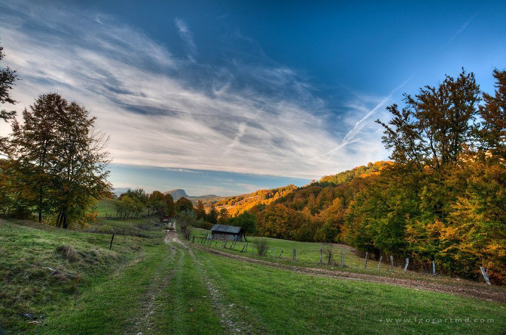 carpatian autumn