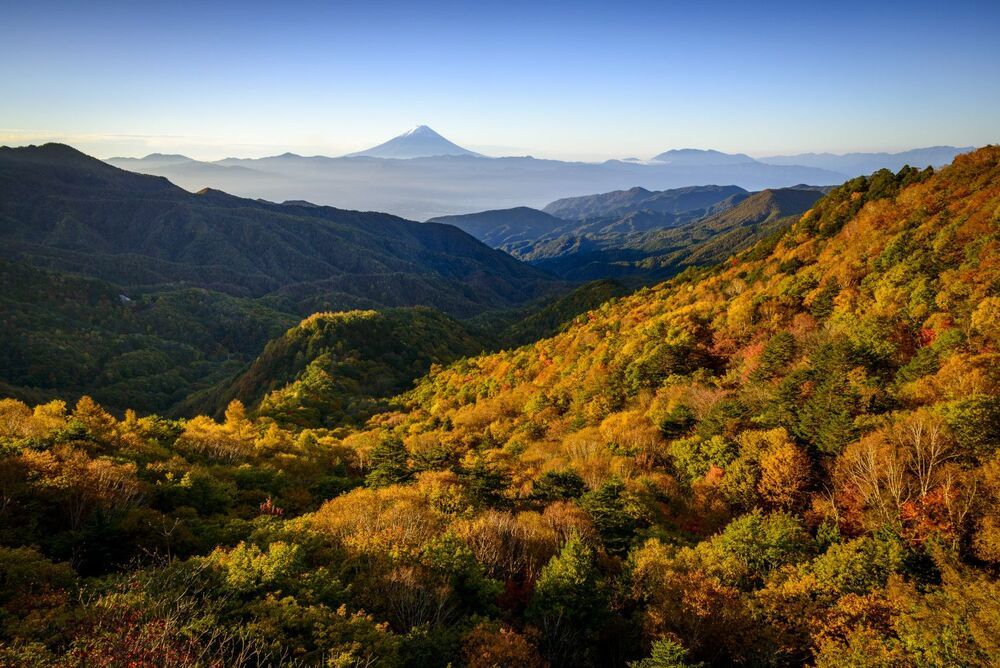Autumn view from the pass