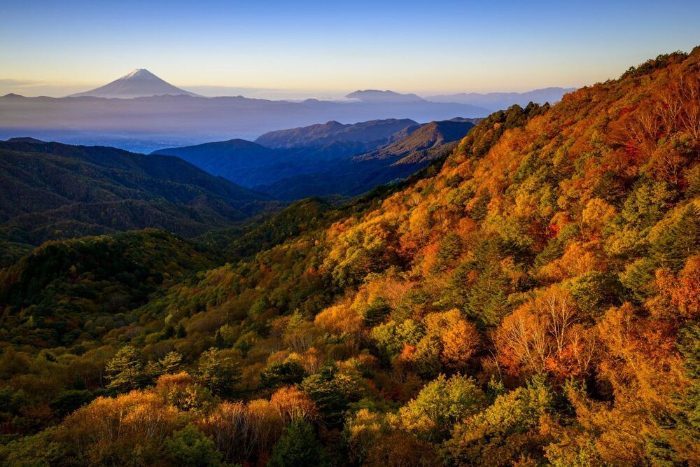 Japan Autumn