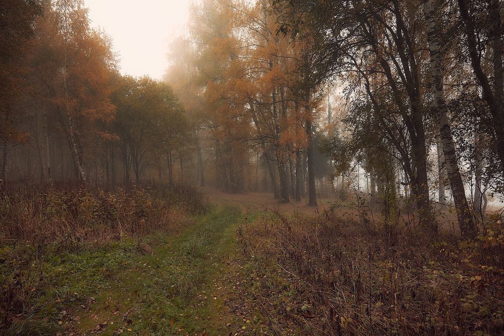 Туманные зарисовки..