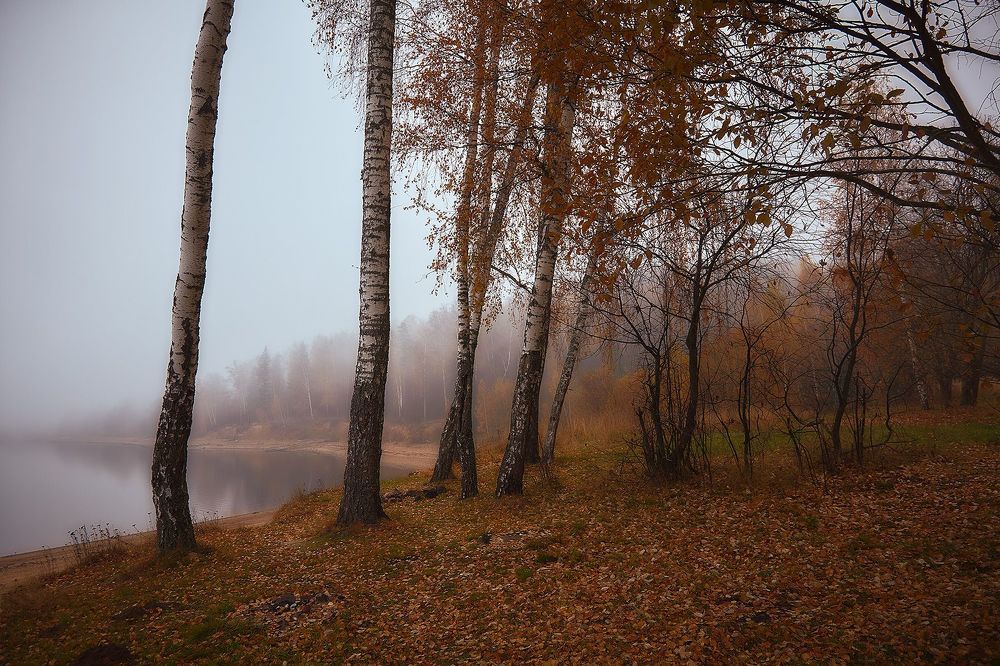 Туманные зарисовки..