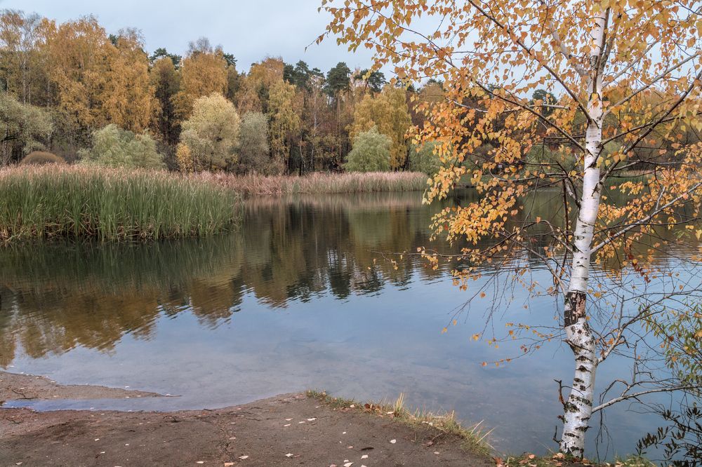 1 час в осеннем парке