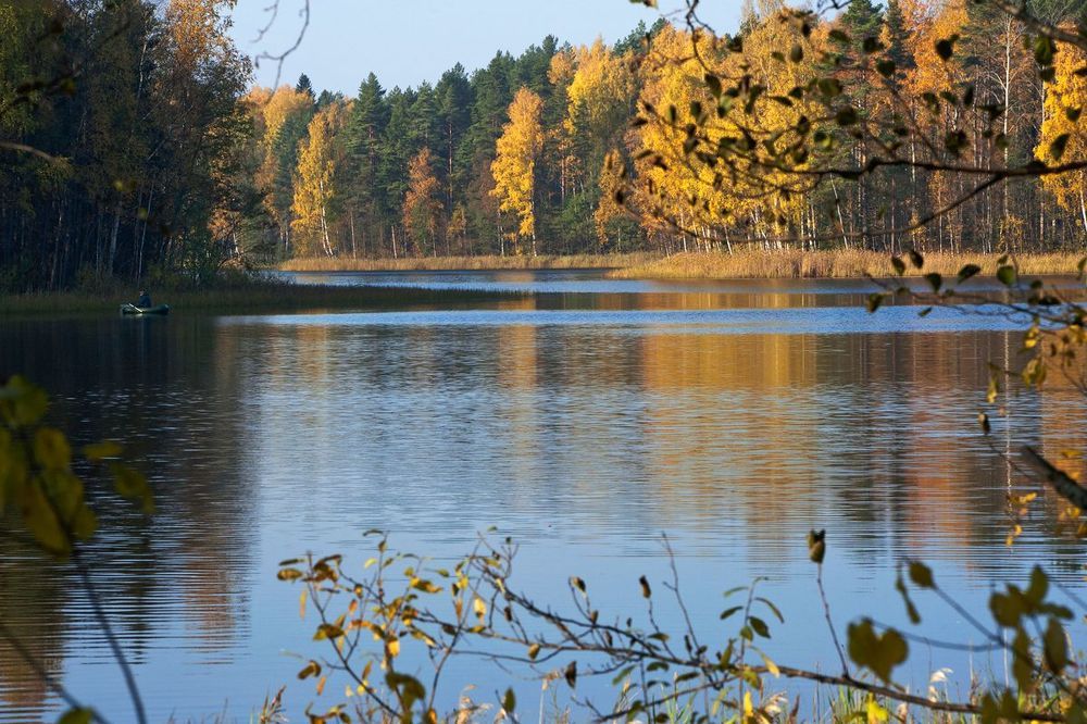 05 …в дорогой золотой оправе…
