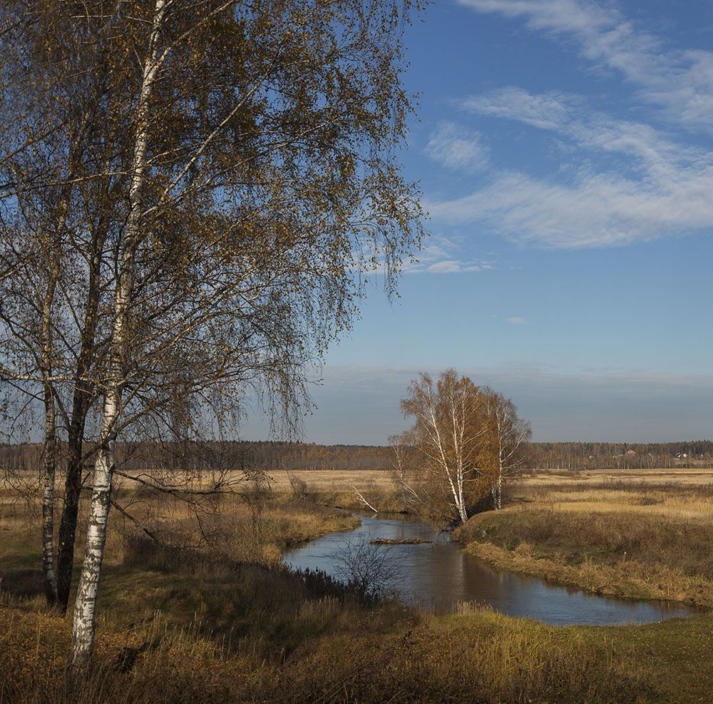 осень