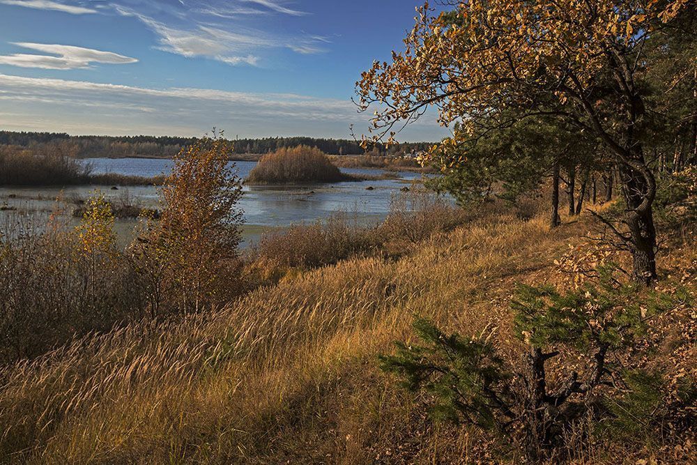 осень