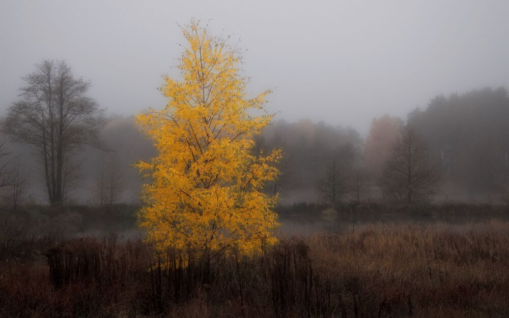 Photo 784847