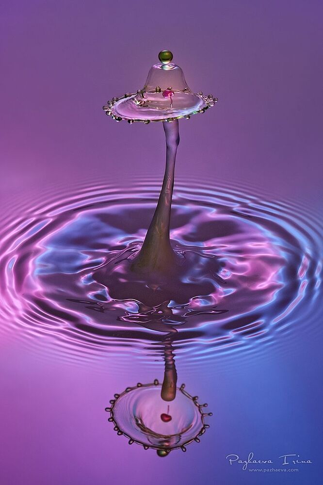 Водная феерия