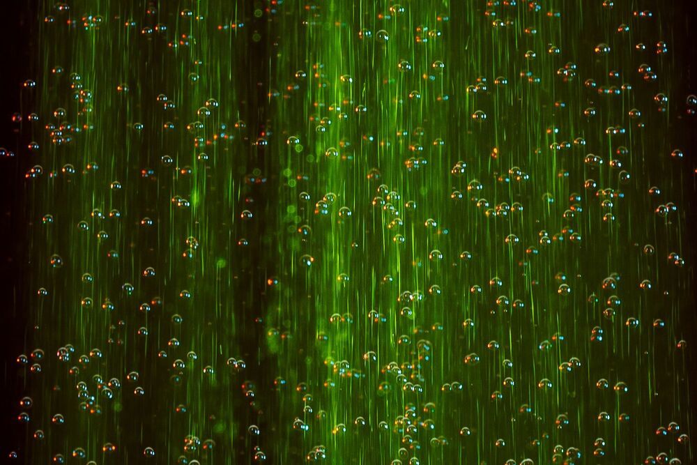 The Matrix