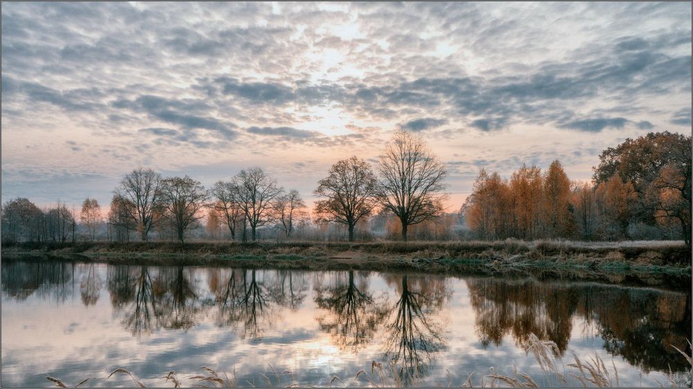 Autumn next to a river.  Belarus.November.