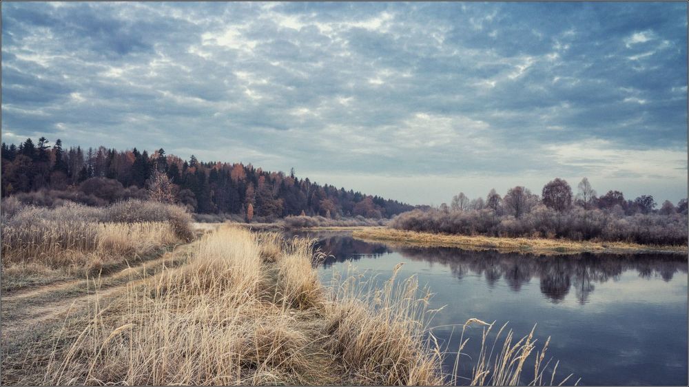 Autumn next to a river.  Belarus.November.