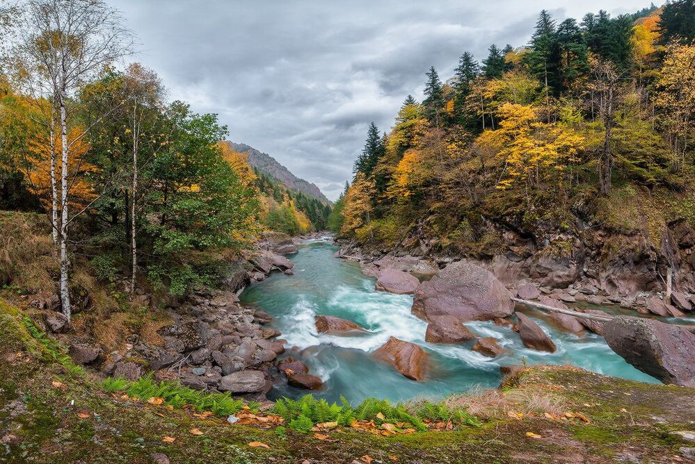 Осень на большой Лабе