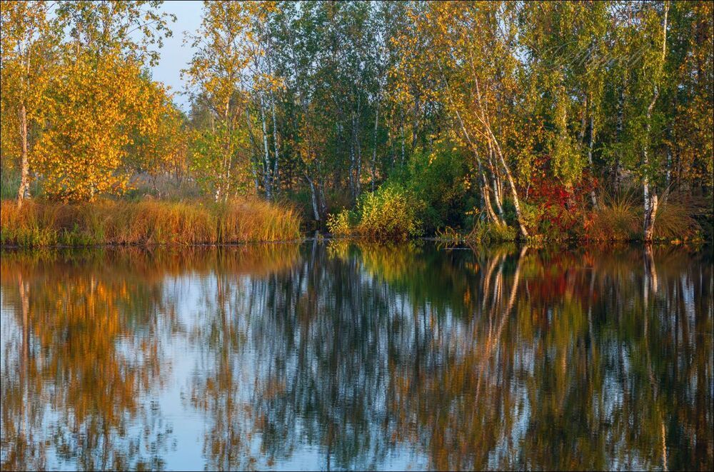 Сентябрьские торфяники в утреннем свете
