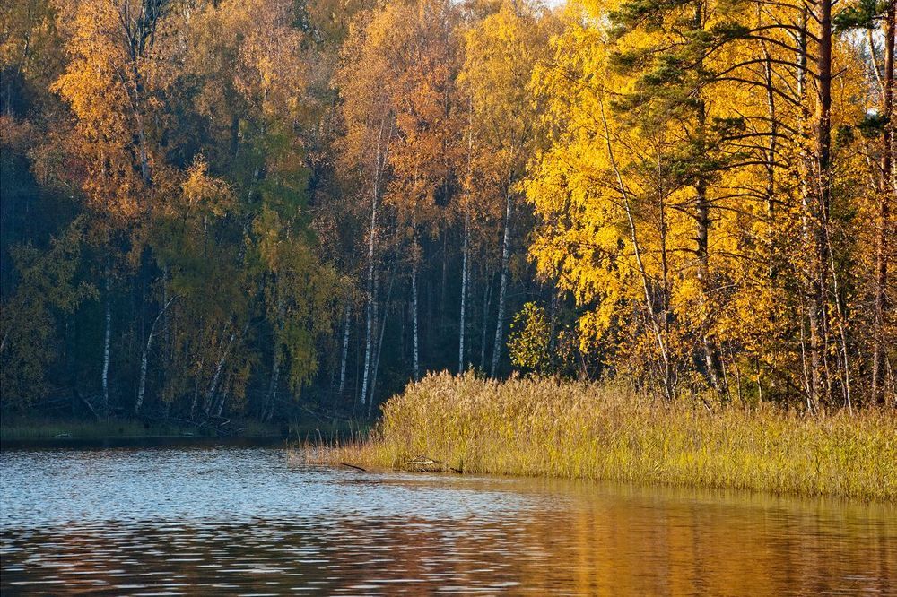 05 Цвета осени были то сочные и насыщенные&hellip;